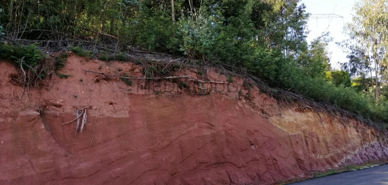 Terreno para Venda em Recardães e Espinhel Foto 6
