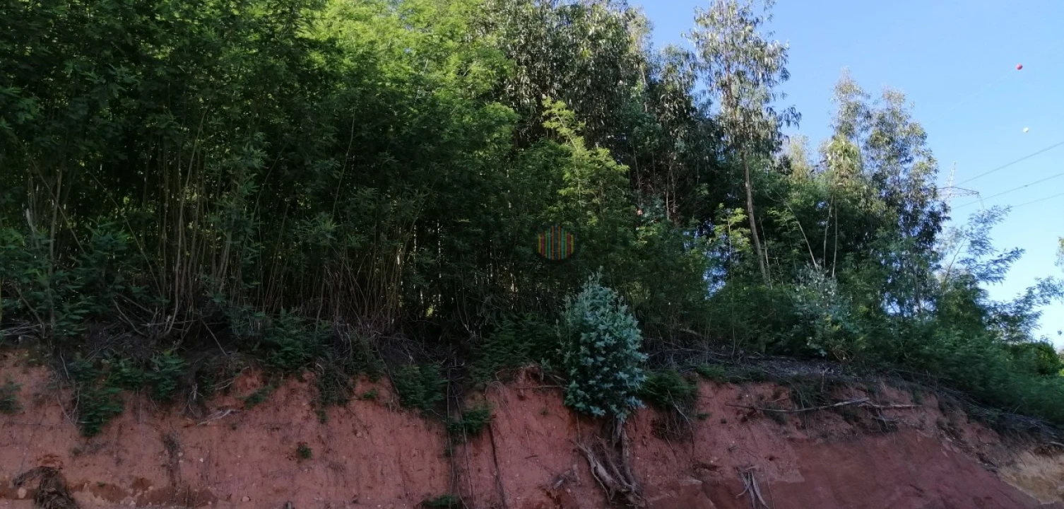 Terreno para Venda em Recardães e Espinhel Foto 1