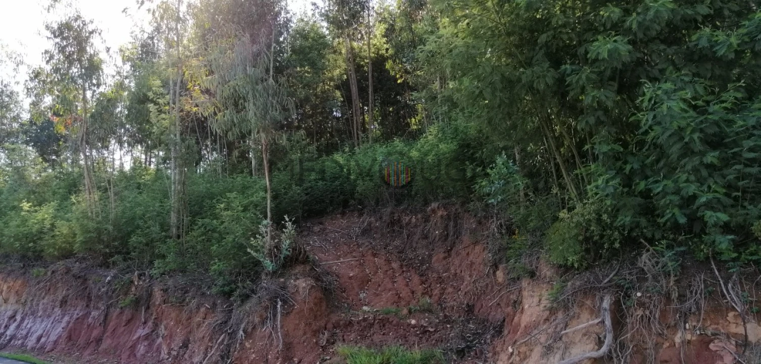 Terreno para Venda em Recardães e Espinhel Foto 3