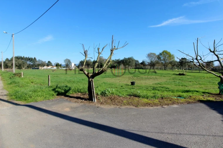 Terreno para Venda em Trofa, Segadães e Lamas do Vouga Foto 2
