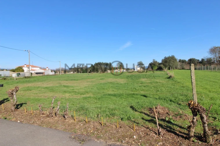 Terreno para Venda em Trofa, Segadães e Lamas do Vouga Foto 3