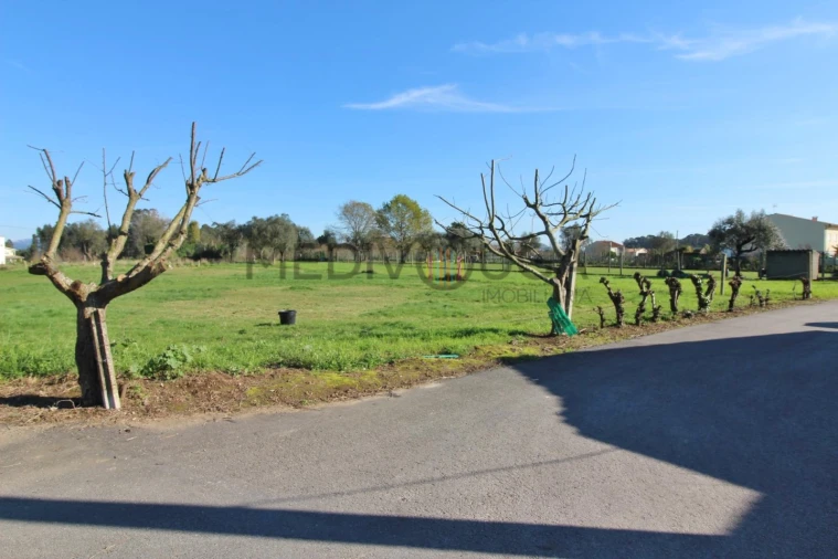 Terreno para Venda em Trofa, Segadães e Lamas do Vouga Foto 4