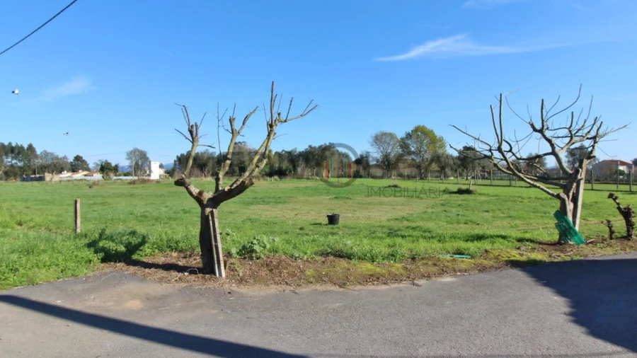Terreno para Venda em Trofa, Segadães e Lamas do Vouga