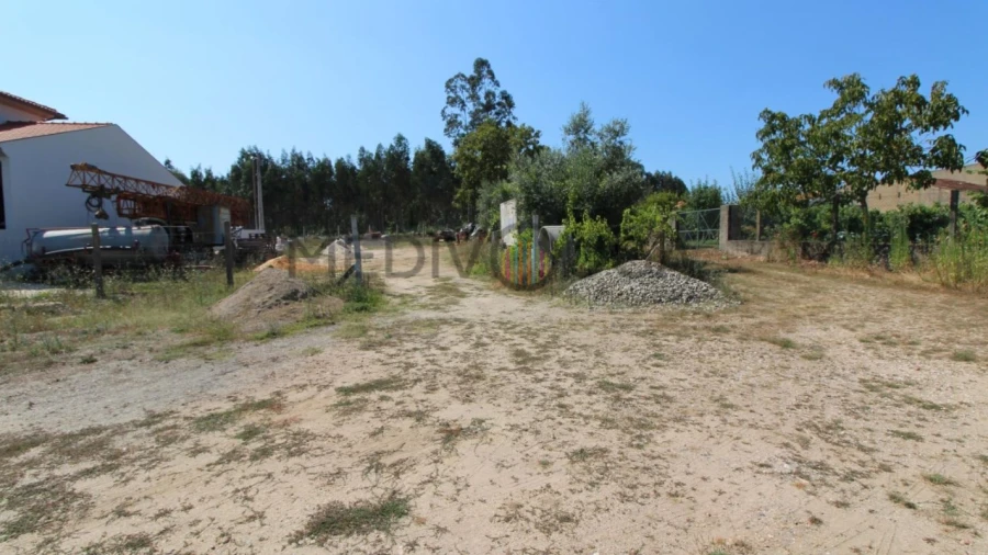 Terreno para Venda em Macinhata do Vouga