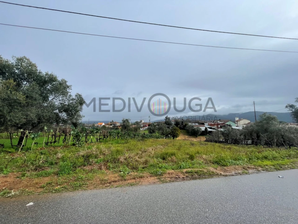 Terreno para Venda em Águeda e Borralha Foto 1