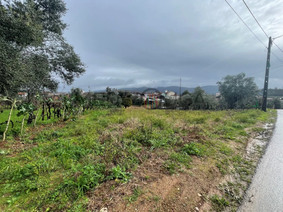 Terreno para Venda em Águeda e Borralha Foto 2