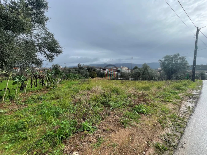 Terreno para Venda em Águeda e Borralha Foto 2