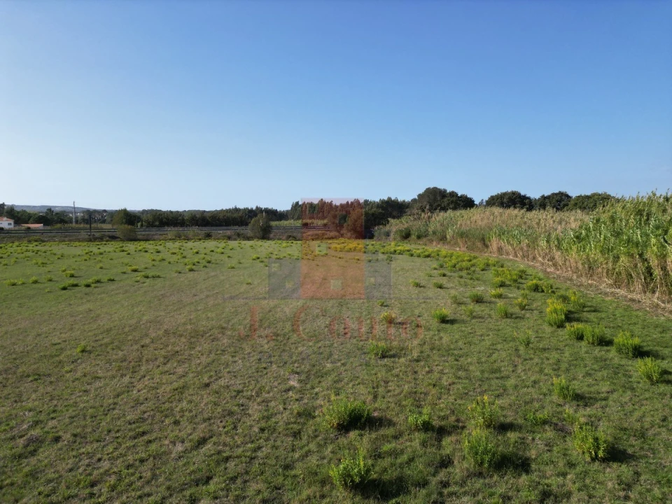 Terreno para Venda em Tornada e Salir do Porto Foto 9