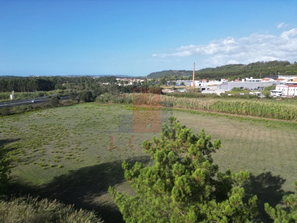Terreno para Venda em Tornada e Salir do Porto Foto 17