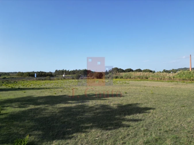 Terreno para Venda em Tornada e Salir do Porto Foto 6