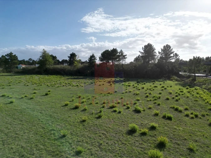 Terreno para Venda em Tornada e Salir do Porto Foto 11