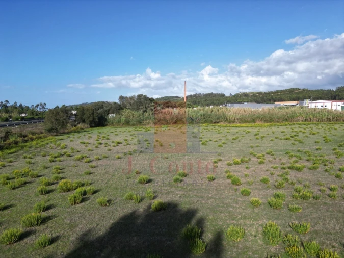 Terreno para Venda em Tornada e Salir do Porto Foto 14
