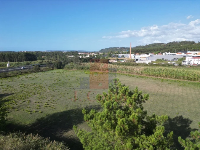 Terreno para Venda em Tornada e Salir do Porto Foto 17