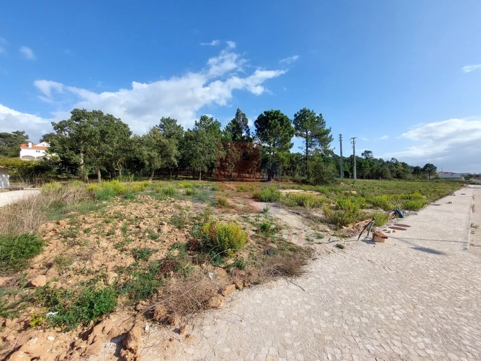 Terreno para Venda em Tornada e Salir do Porto Foto 6