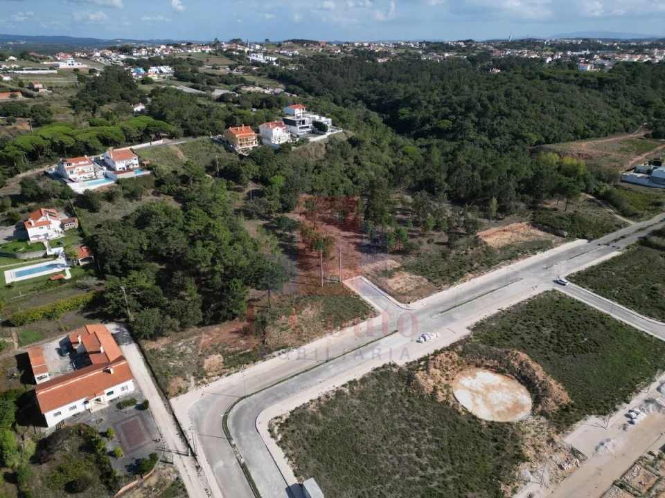 Terreno para Venda em Tornada e Salir do Porto Foto 7