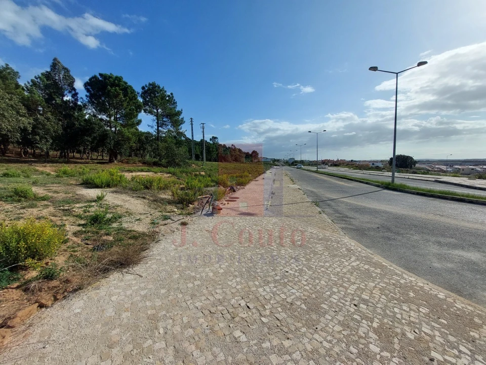 Terreno para Venda em Tornada e Salir do Porto Foto 12