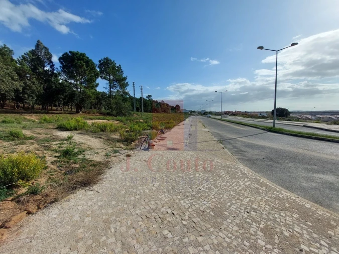 Terreno para Venda em Tornada e Salir do Porto Foto 12