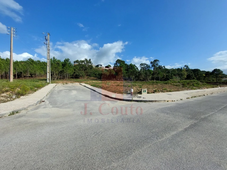 Terreno para Venda em Tornada e Salir do Porto Foto 2