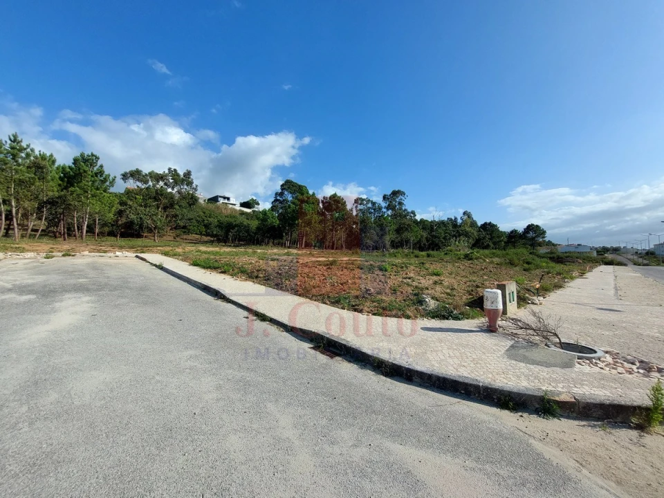 Terreno para Venda em Tornada e Salir do Porto Foto 3