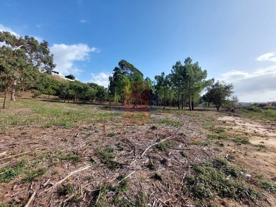 Terreno para Venda em Tornada e Salir do Porto Foto 5