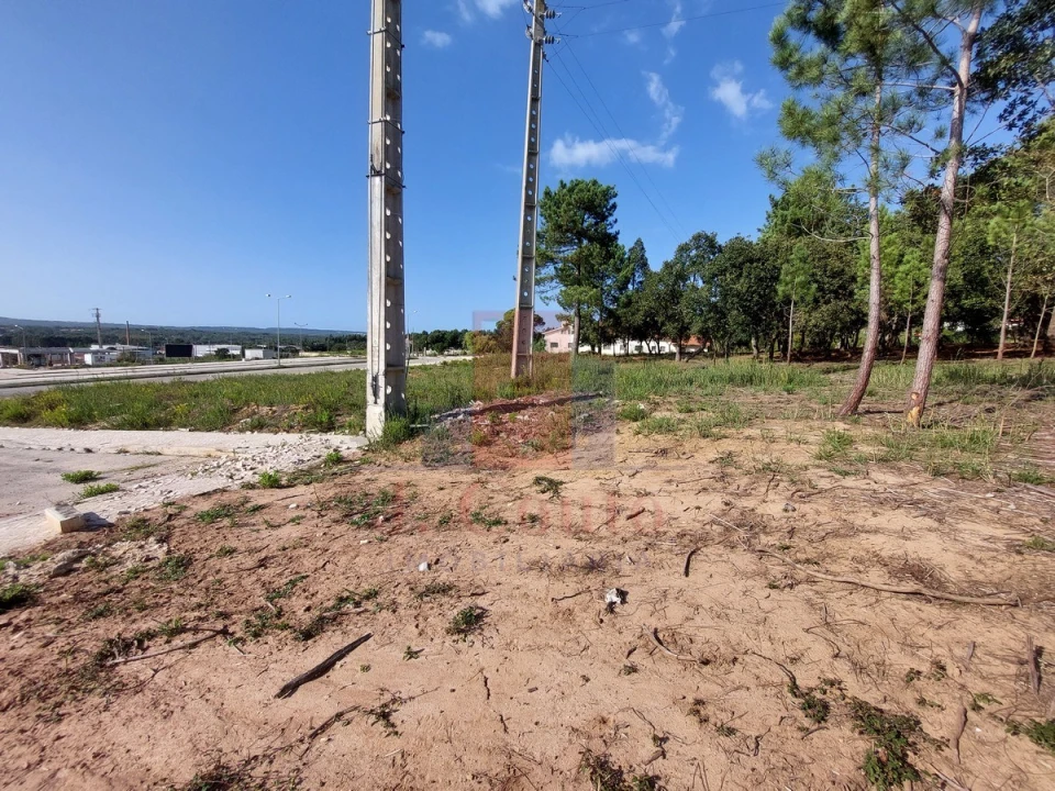Terreno para Venda em Tornada e Salir do Porto Foto 7