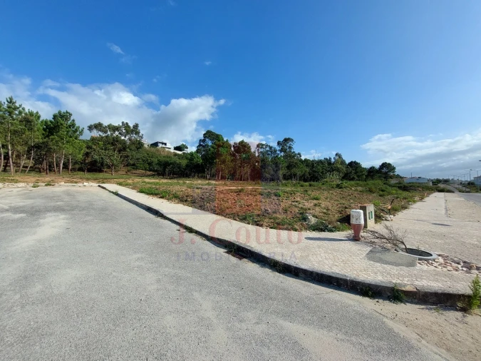 Terreno para Venda em Tornada e Salir do Porto Foto 3