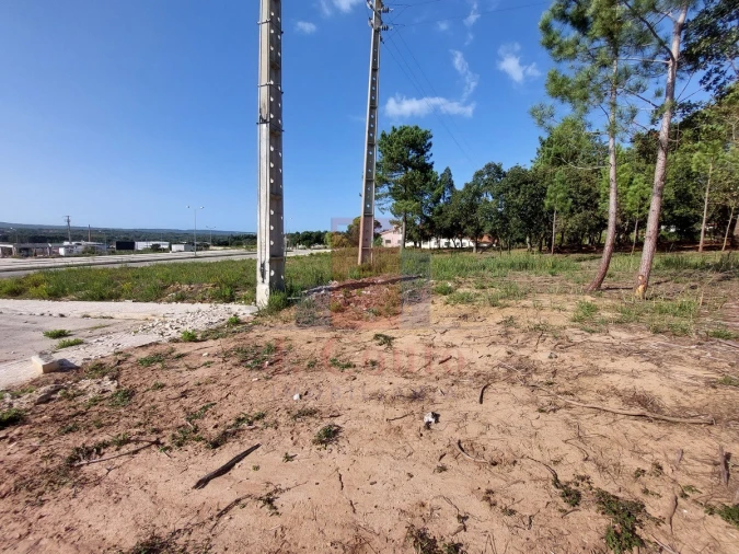 Terreno para Venda em Tornada e Salir do Porto Foto 7