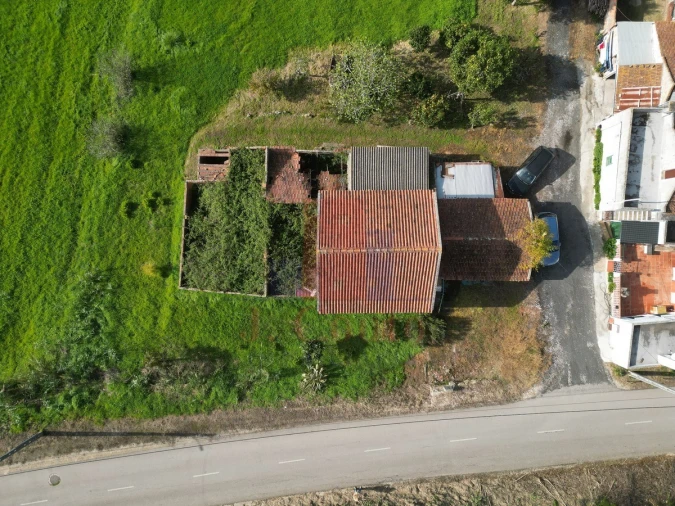 Terreno para Venda em Salir de Matos Foto 4