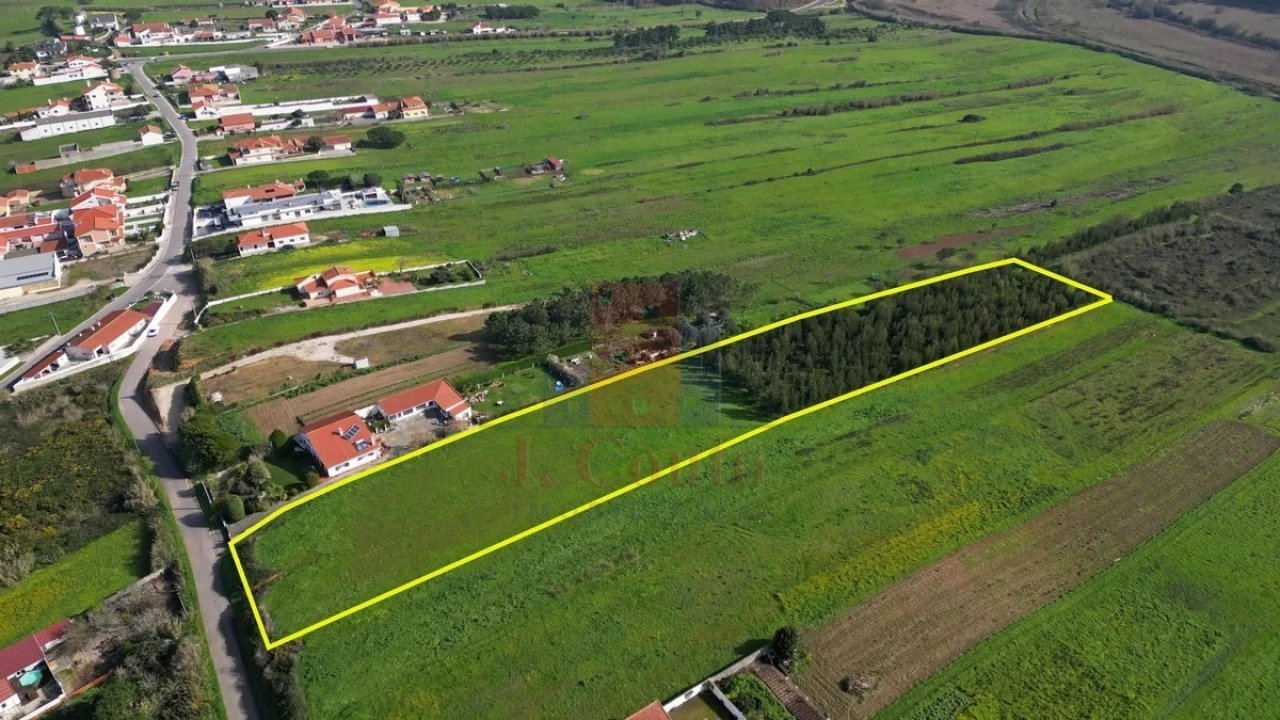 Terreno para Venda em Tornada e Salir do Porto Foto 2