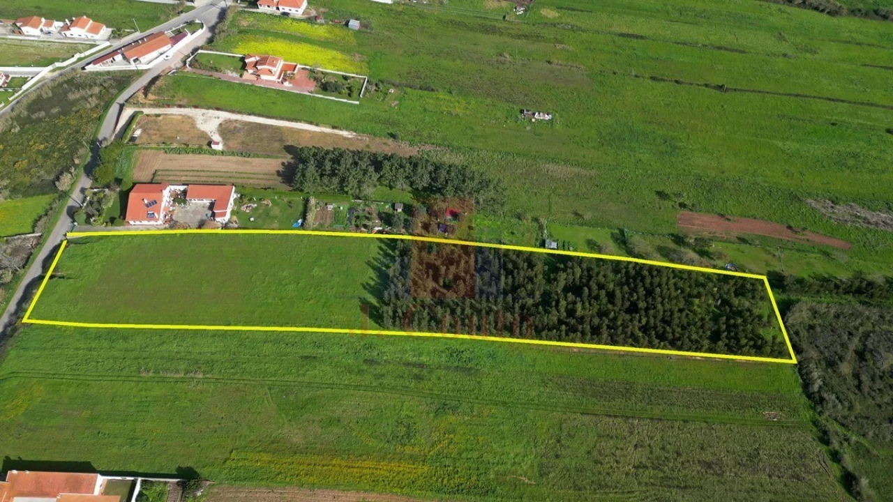 Terreno para Venda em Tornada e Salir do Porto Foto 4