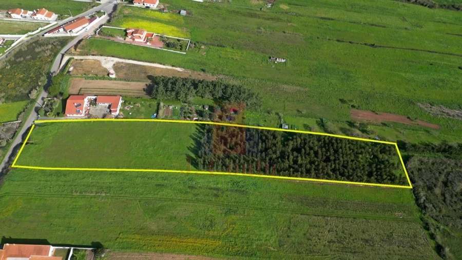 Terreno para Venda em Tornada e Salir do Porto Foto 4