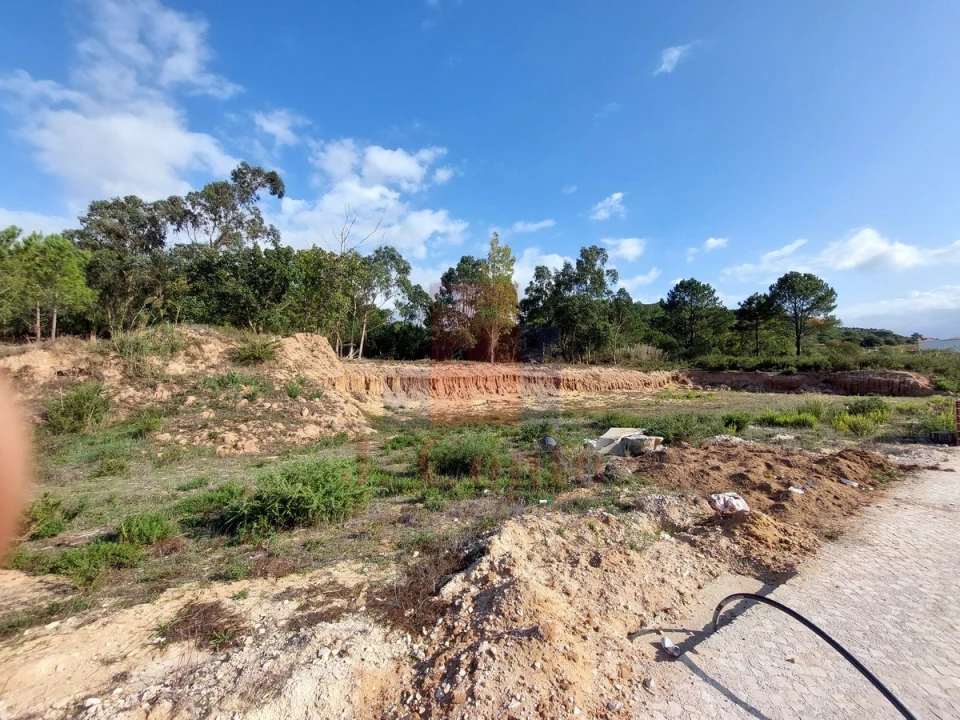 Terreno para Venda em Tornada e Salir do Porto Foto 3