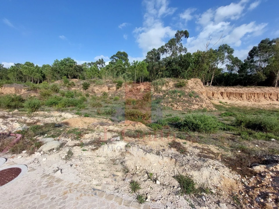 Terreno para Venda em Tornada e Salir do Porto Foto 1