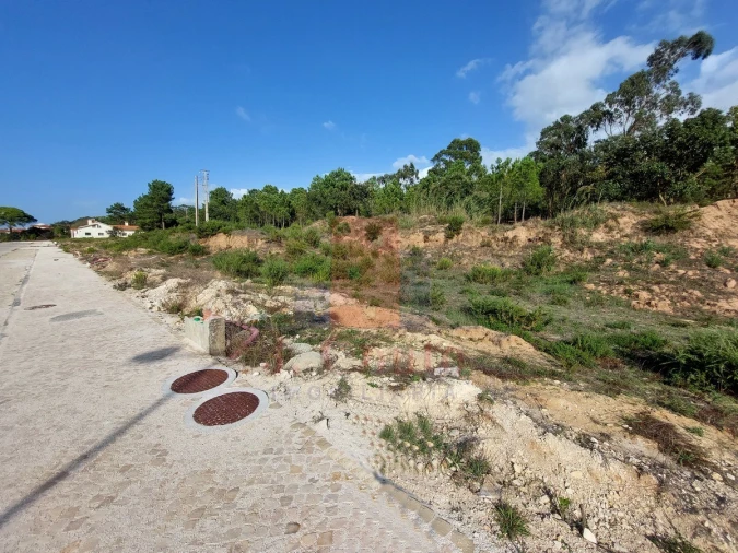 Terreno para Venda em Tornada e Salir do Porto Foto 6