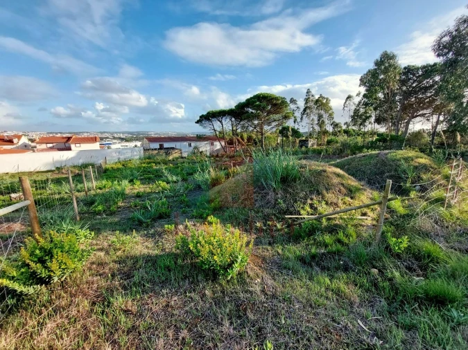 Terreno para Venda em Nadadouro Foto 3