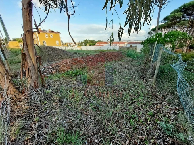 Terreno para Venda em Nadadouro Foto 4