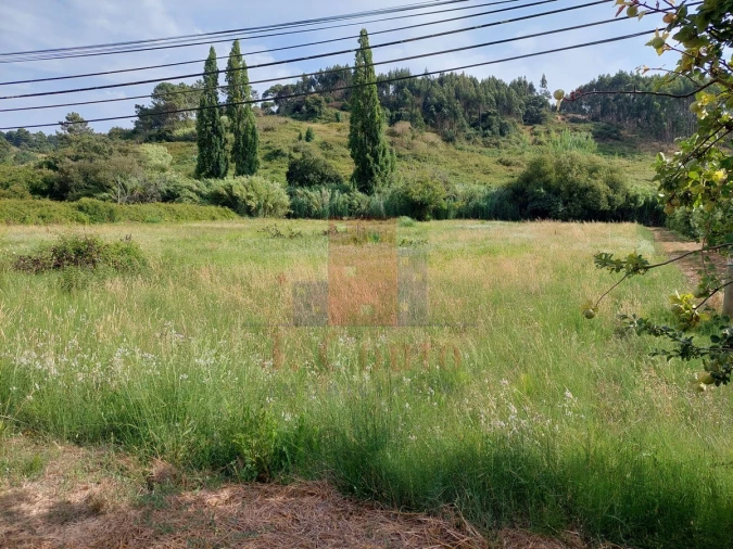 Terreno para Venda em Salir de Matos Foto 5