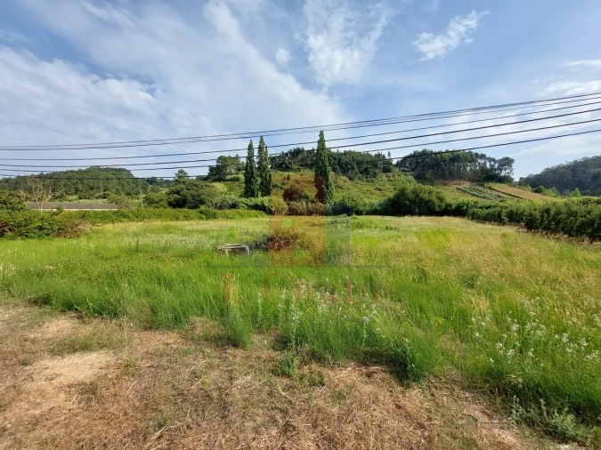 Terreno para Venda em Salir de Matos Foto 8