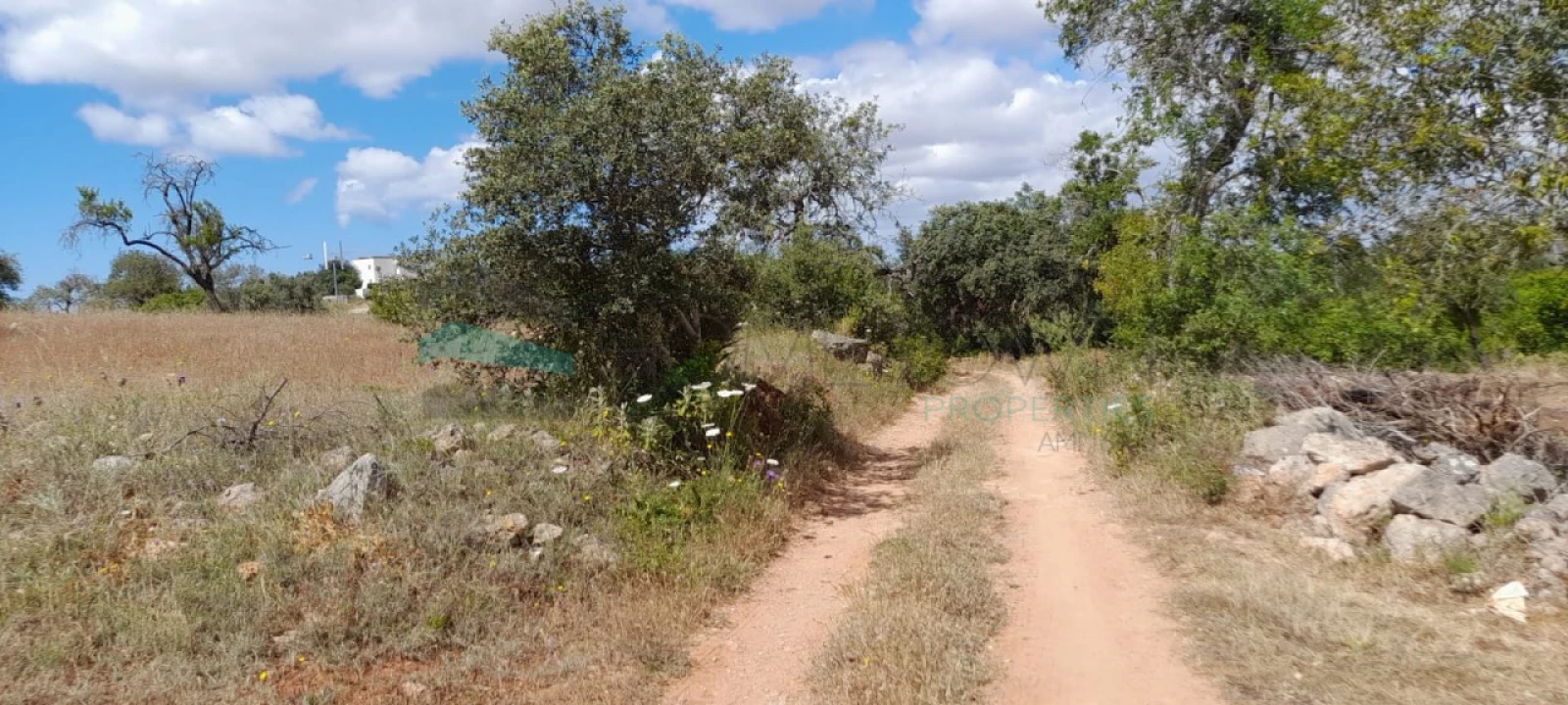 Terreno para Venda em Boliqueime Foto 8