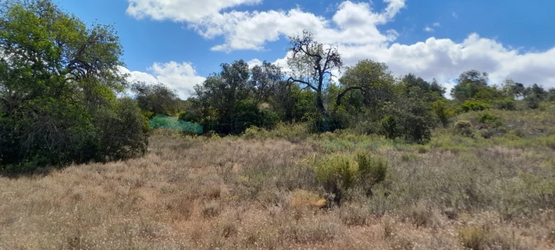 Terreno para Venda em Boliqueime