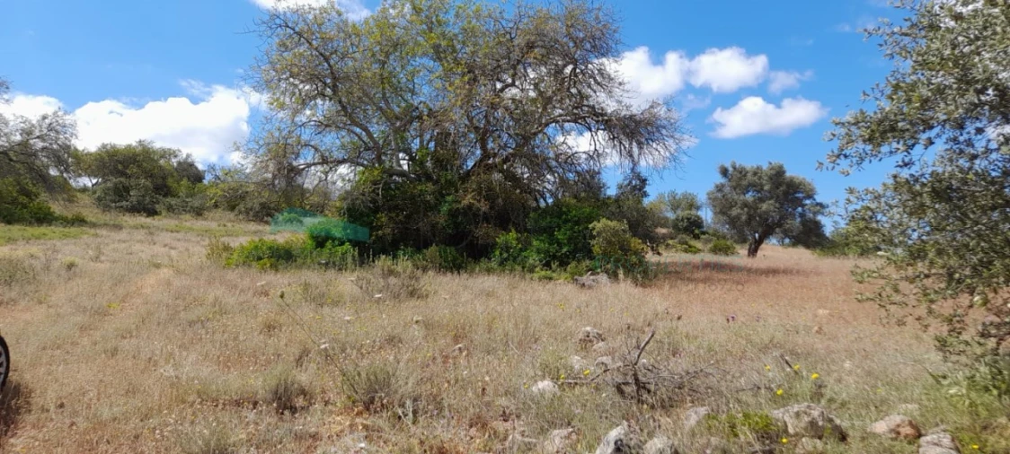 Terreno para Venda em Boliqueime Foto 2
