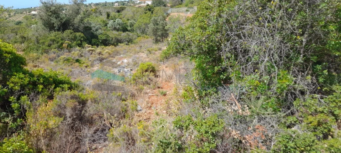 Terreno para Venda em Boliqueime Foto 3