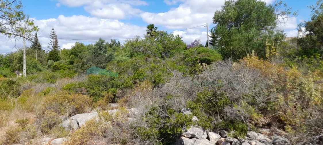 Terreno para Venda em Boliqueime Foto 11