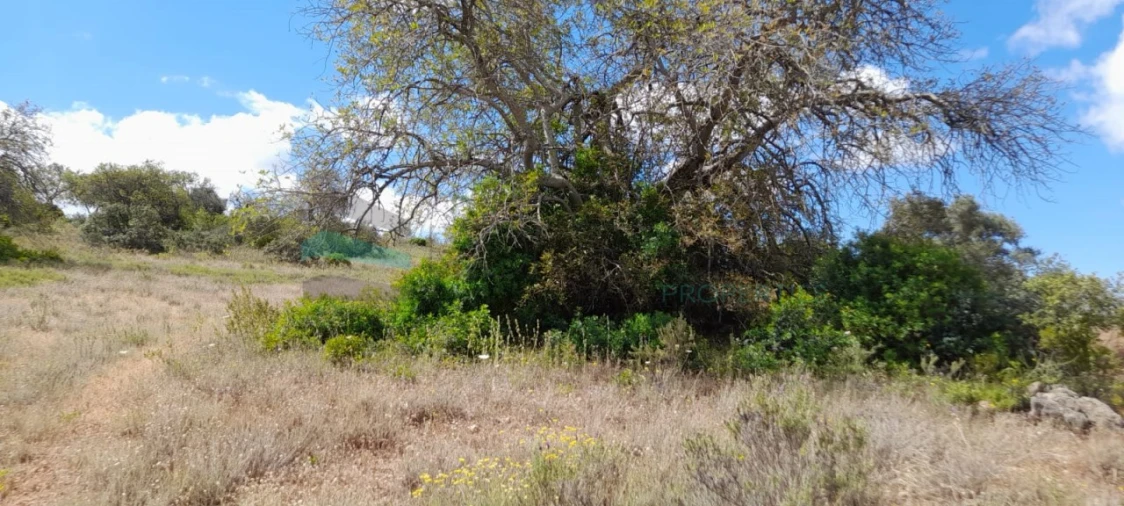 Terreno para Venda em Boliqueime Foto 12