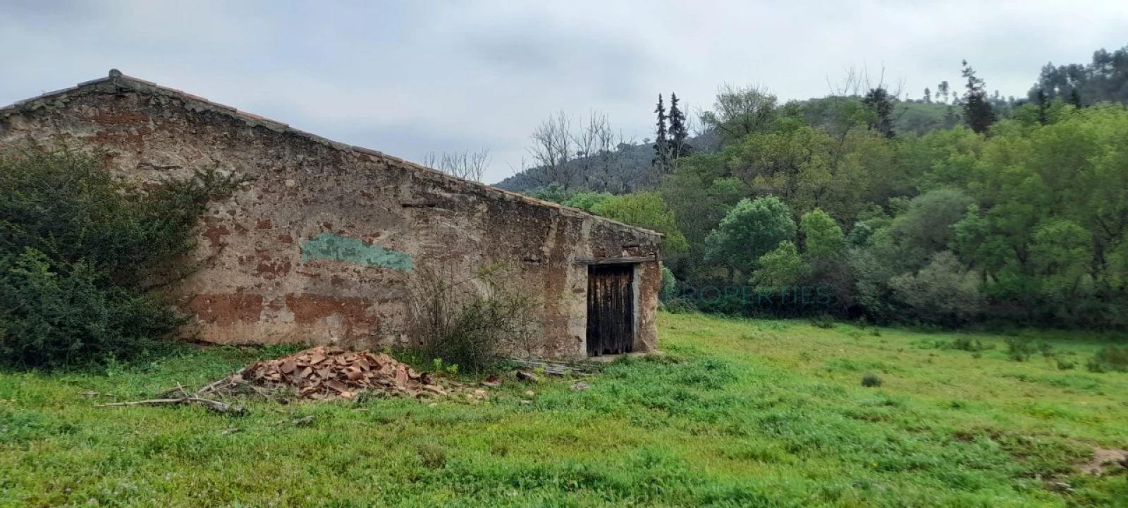 Terreno para Venda em Saboia Foto 8