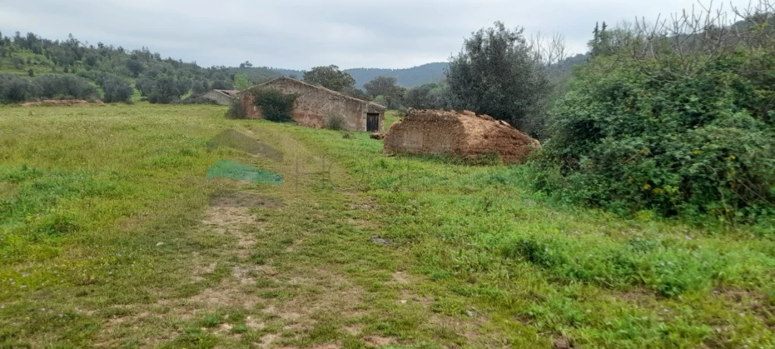 Terreno para Venda em Saboia Foto 5
