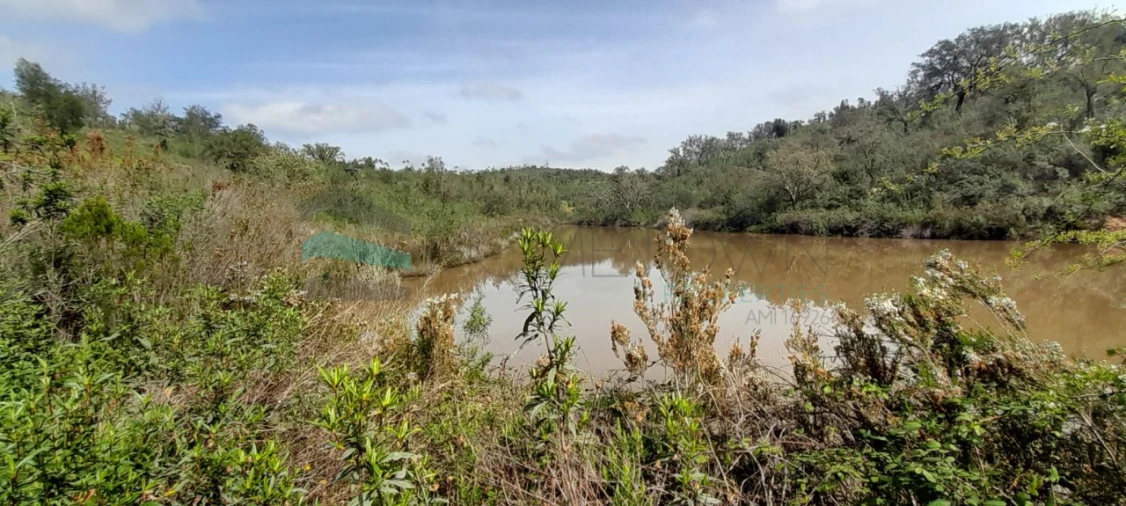 Terreno para Venda em Saboia Foto 6