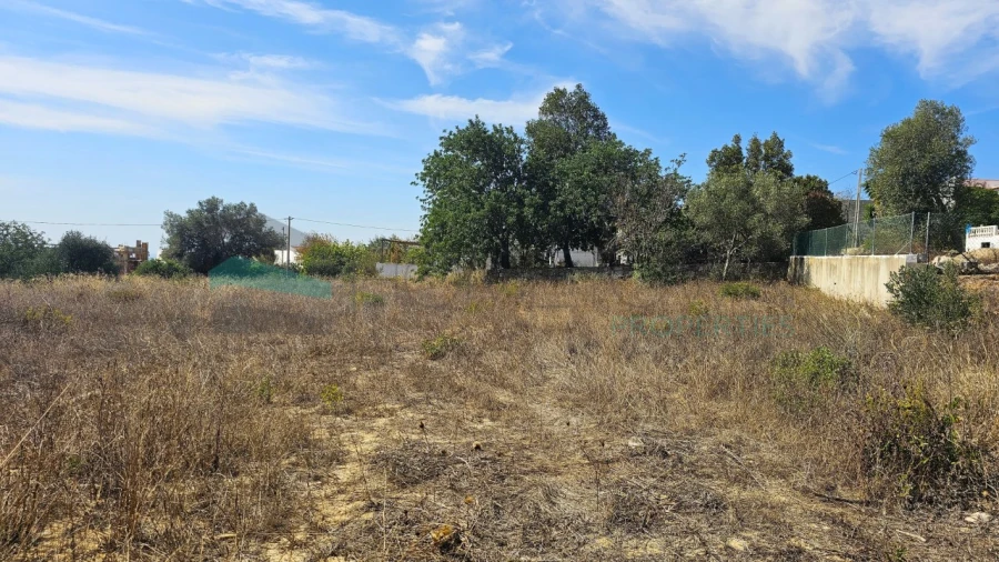 Terreno para Venda em Santa Barbara de Nexe Foto 9