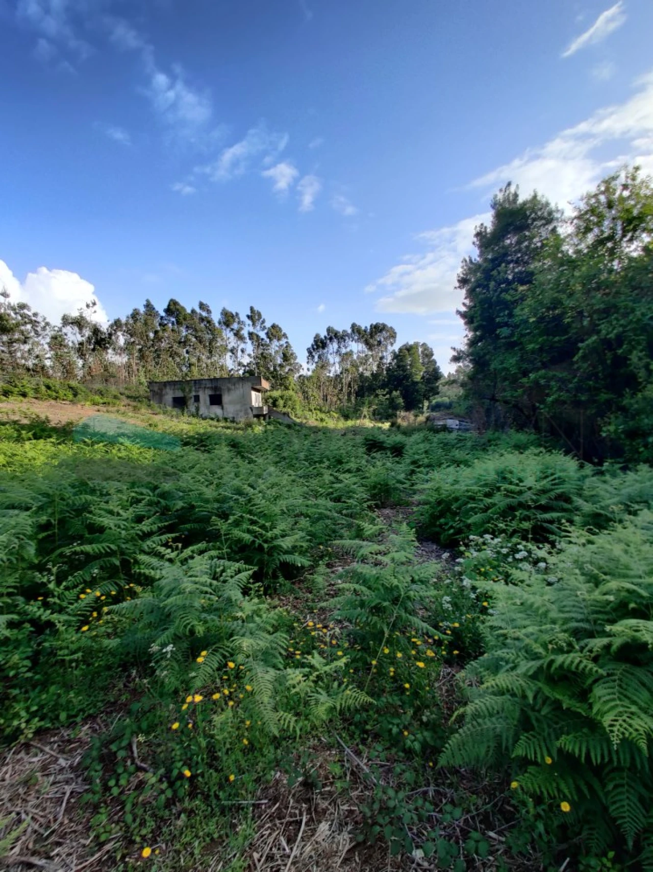 Terreno para Venda em Grijó e Sermonde Foto 3