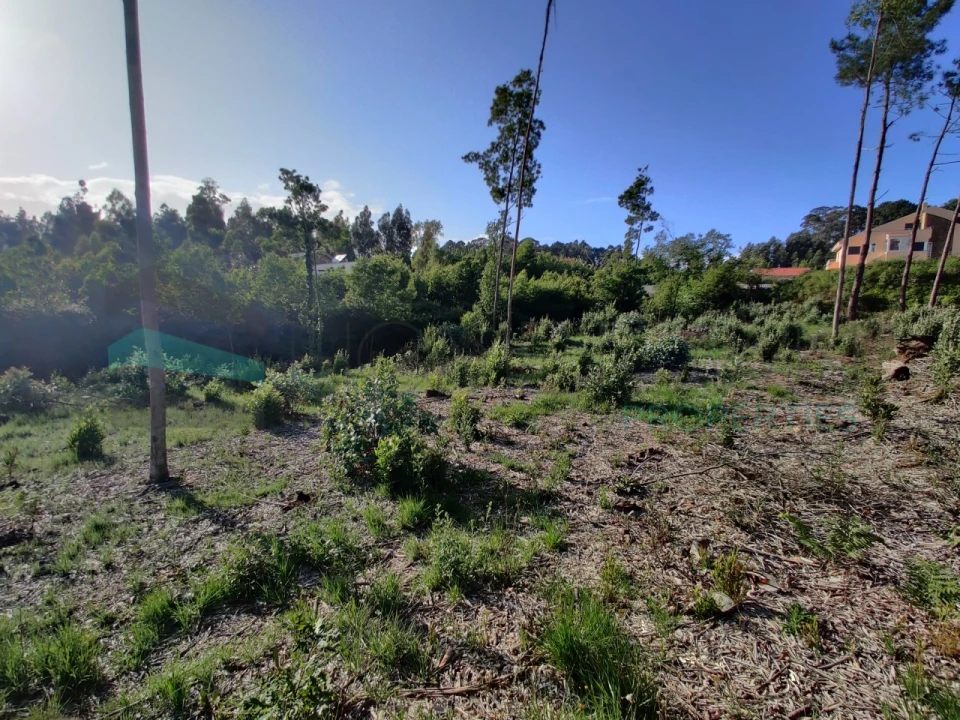 Terreno para Venda em Grijó e Sermonde Foto 4